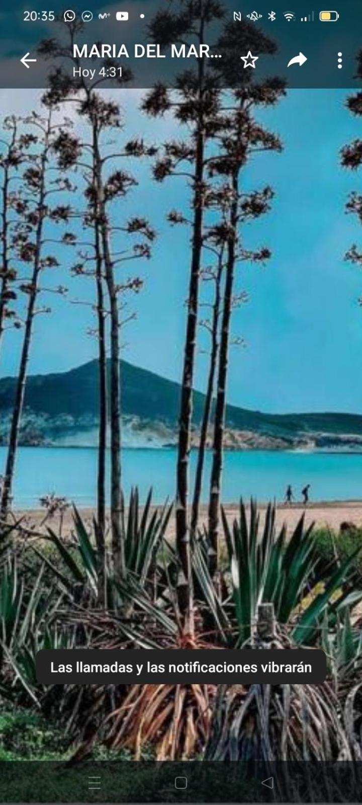 Casas Rurales Cortijo Torreblanca Parque Cabo De Gata エル・ポソ・デ・ロス・フライレス エクステリア 写真