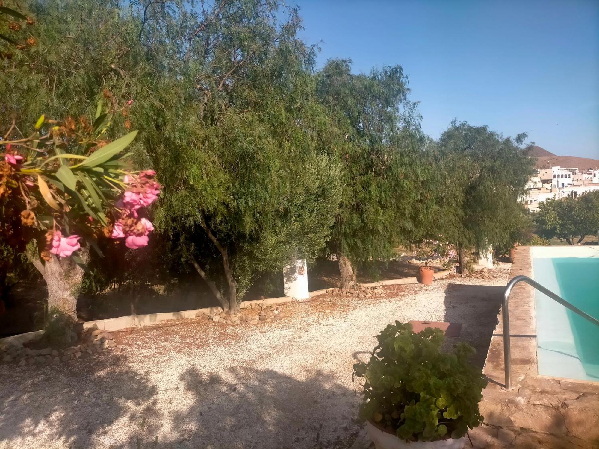 Casas Rurales Cortijo Torreblanca Parque Cabo De Gata エル・ポソ・デ・ロス・フライレス エクステリア 写真