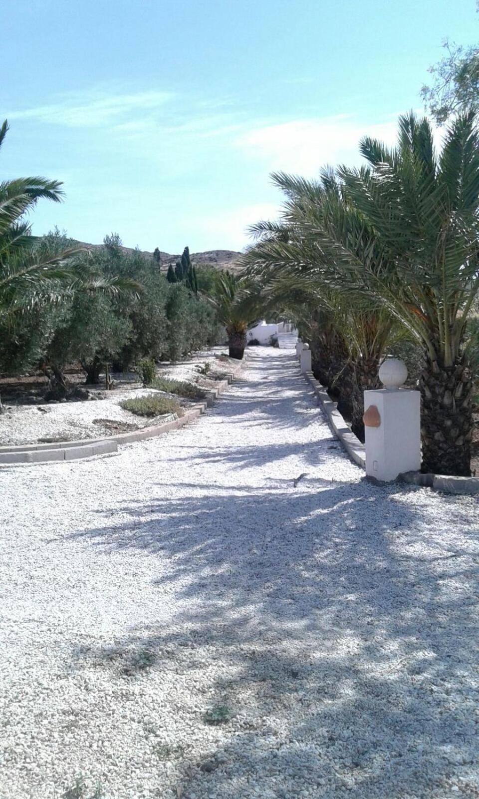 Casas Rurales Cortijo Torreblanca Parque Cabo De Gata エル・ポソ・デ・ロス・フライレス エクステリア 写真