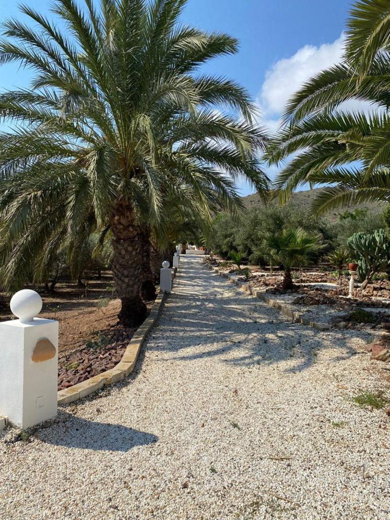 Casas Rurales Cortijo Torreblanca Parque Cabo De Gata エル・ポソ・デ・ロス・フライレス エクステリア 写真