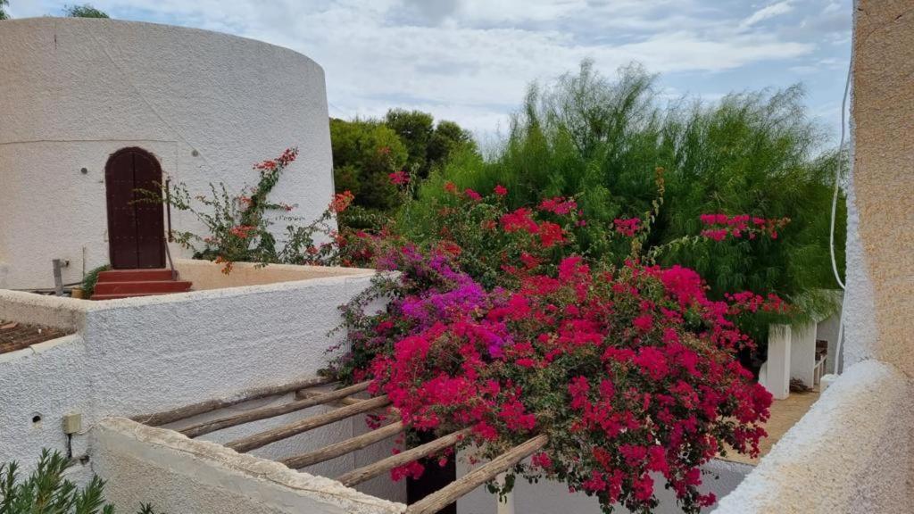 Casas Rurales Cortijo Torreblanca Parque Cabo De Gata エル・ポソ・デ・ロス・フライレス エクステリア 写真