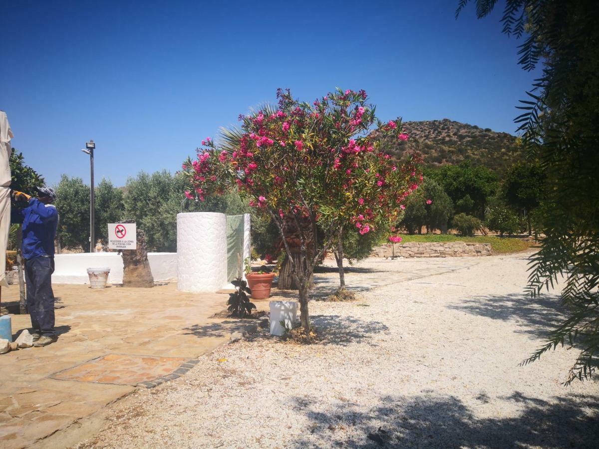 Casas Rurales Cortijo Torreblanca Parque Cabo De Gata エル・ポソ・デ・ロス・フライレス エクステリア 写真