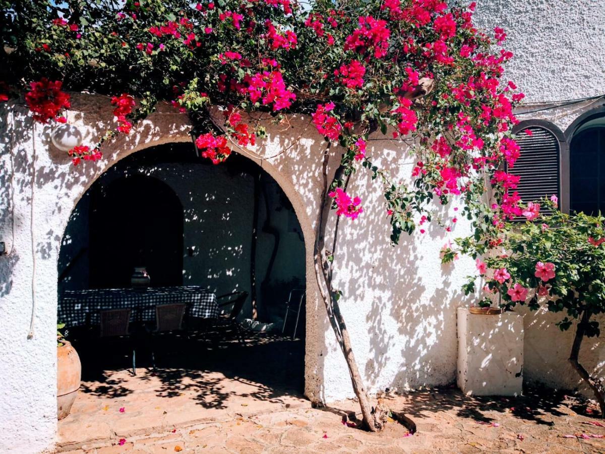Casas Rurales Cortijo Torreblanca Parque Cabo De Gata エル・ポソ・デ・ロス・フライレス エクステリア 写真